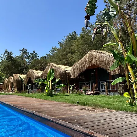 Case de vacanță Pine Village Oeluedeniz