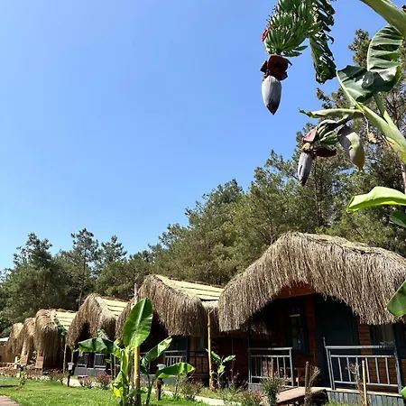 Pine Village ölüdeniz Fethiye