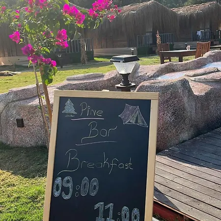 Case de vacanță Pine Village Oeluedeniz Fethiye